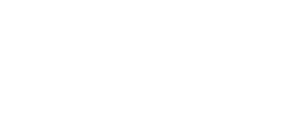 Historia y Ficción